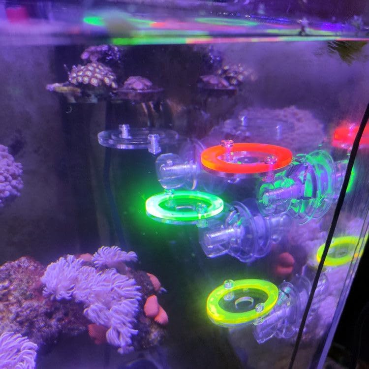 Weramics 4 Units frag Rack Fluorescent-Colored Acrylic Coral Base with Suction Cups and 4pcs T-Shaped Coral frag Plugs - Image 4